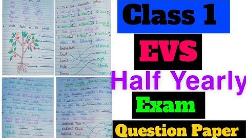 Class 1 EVS Half Yearly Exam Question Paper 2024-25|Half Yearly Exam|Class 1 EVS worksheet