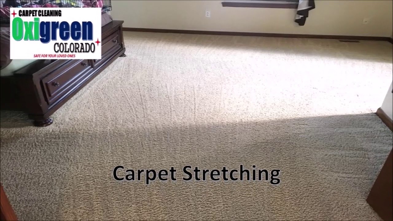 Local carpet cleaners║ carpet cleaning service YouTube