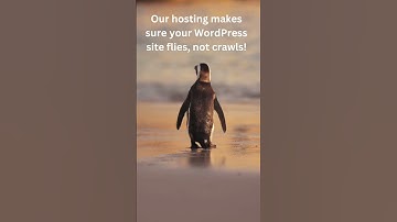 Supercharge Your Small Business!