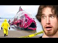 Craziest Things Found in Nature