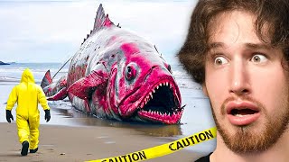 Craziest Things Found in Nature