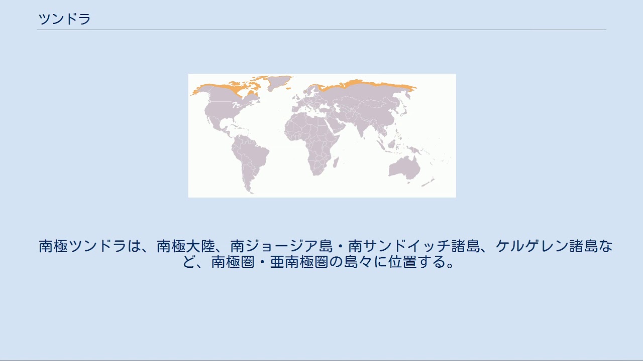 ツンドラ Youtube