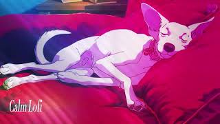 Lofi Hip hop. Relaxing Lofi music. Time to relax on your favorite sofa with your dog.
