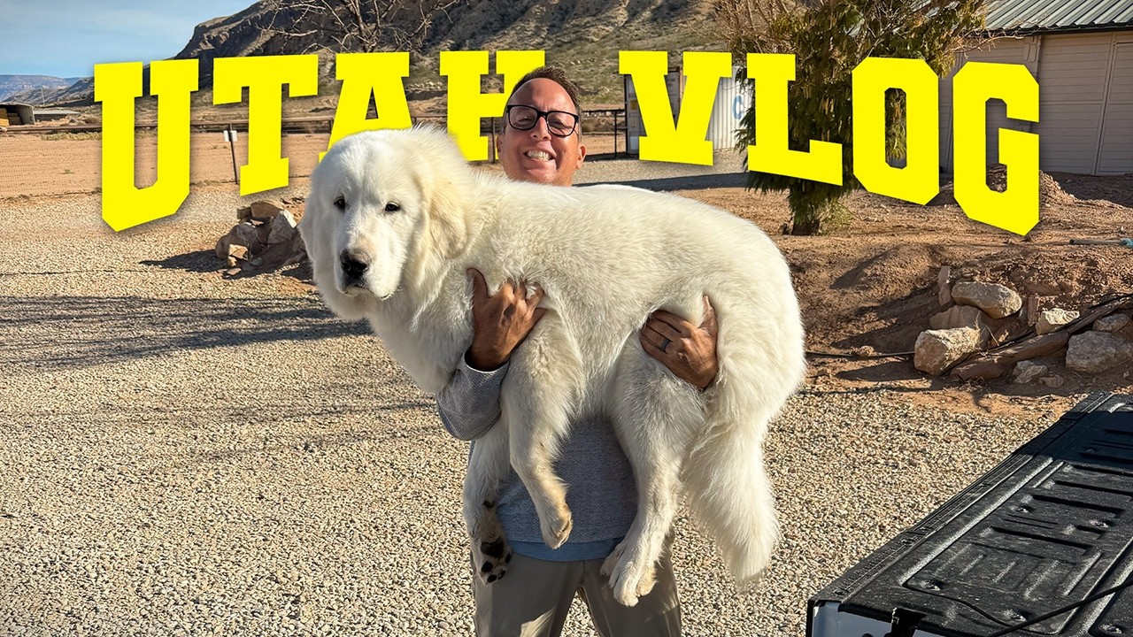 ⁣We Built Our Dream Life in Southern Utah...