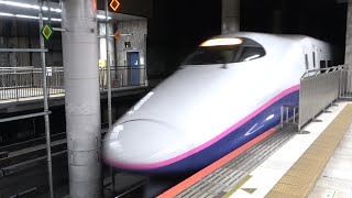2020/10/03 JR East: E2 Series + E3 Series L54 Set at Ueno