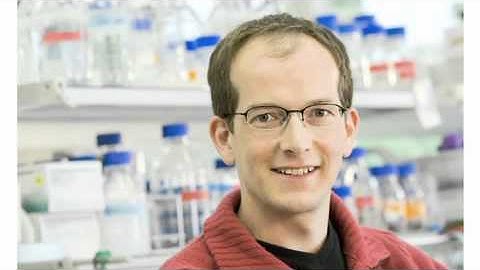 biosights: December 27, 2010 The Spindle