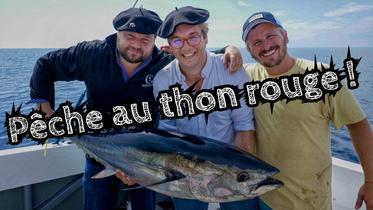 Pêche au thon rouge - Gueuleton