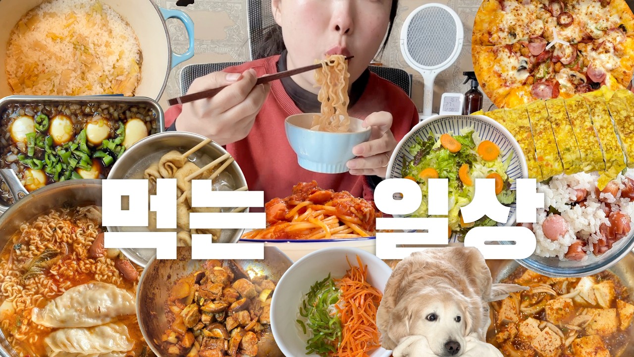 집밥 열심히 해 먹은 일주일🍽️ 먹방 VLOG_김치솥밥, 냉털라면, 중화계란장, 돼지갈비찜, 가리비 짬뽕!