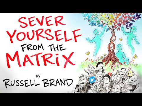 How to Have Mental Clarity in an Unclear World - Russell Brand