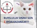 1 AY ÇALIŞARAK BURSLULUK NASIL KAZANILIR?