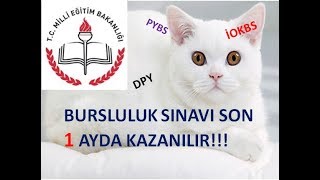 1 AY ÇALIŞARAK BURSLULUK NASIL KAZANILIR?