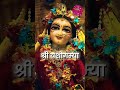I felt when Krishna said🙏❤️#jaysrikrishna #jagannath #krishna #hinduspirituality #hindugods #god#new