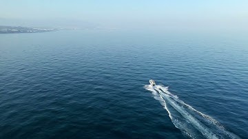 Between Trees and Sky