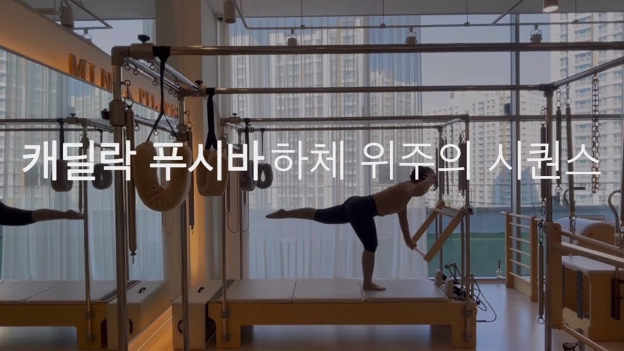 (캐딜락)푸시스로우바로 하체 수업🤍