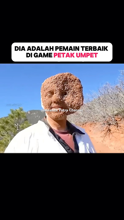 Game Petak Umpet #alurceritafilm #alurcerita #mrbeast #game #petakumpet #hideandseek #gamelife #fyp