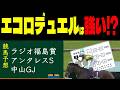 【競馬予想】４月１８日中央競馬メインレース予想（ラジオ福島賞、アンタレスステークス、中山グランドジャンプ）