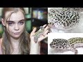 WATCH THIS BEFORE GETTING A LEOPARD GECKO!