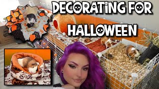 DECORATING GUINEA PIG CAGES FOR HALLOWEEN🎃👻