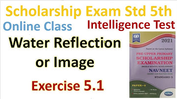 V263 IT Water Reflection Image Exercise 5.1 Scholarship Std 5th Online Class