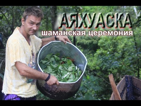 Видео: Возможности и риски аяхуаски как священного паломничества