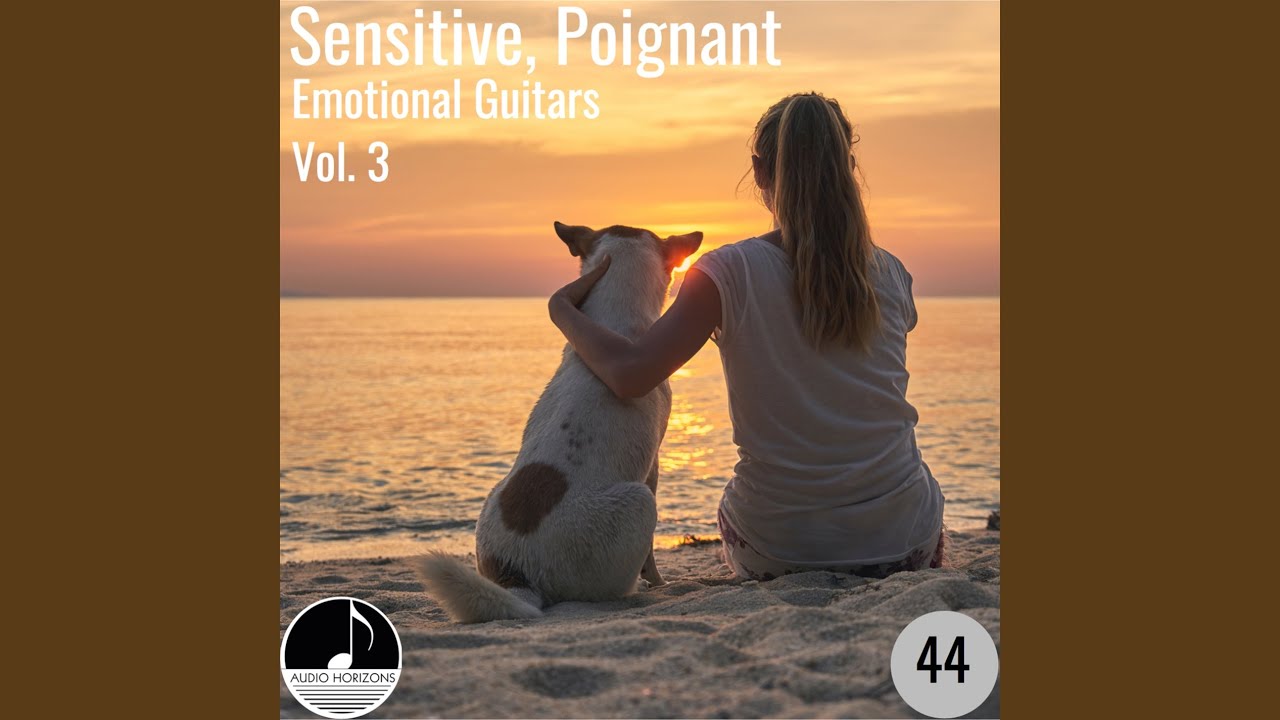 Pansu Sapna Choudhary Komal Choudhary Gagan Verma New Haryanvi Video Song 2024 - YouTube Auto PHP Script