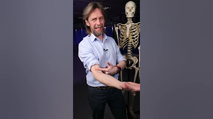 #shorts - anatomy of 5 tendon reflexes