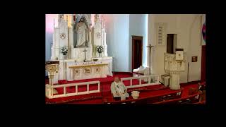 Details Easter 3 - Sunday April 14, 2024 1 Peter 2:21-25 Guide