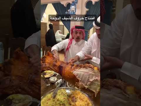 New Arabian Camel