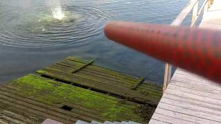 invert mini efficiency test