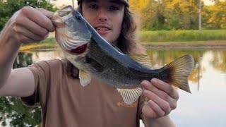 Ripping Lips Hot As He