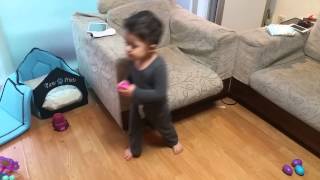 Dexter's first easter egg hunt