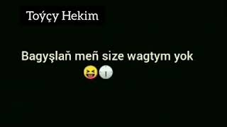 Toýçy Hekim