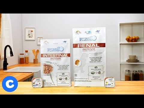 Video: Đánh giá của Chewy.com: Đặt mua thức ăn cho chó và mèo từ Chewy
