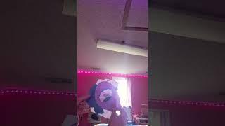 #puppet #funny #ihavethisthingwithplants flutter is acting strange today I wonder what happened