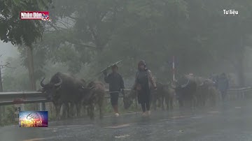 Đông Bắc bộ còn mưa dông, vùng núi phía Bắc có nơi rét đậm