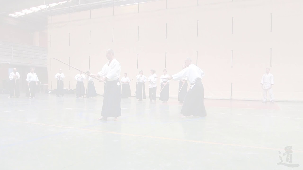 TAE - 13 JO KATA - Partner practice