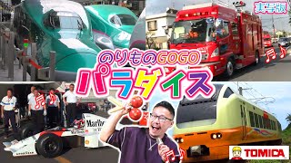 のりものGOGOパラダイス【トミカ&プラレール テーマソング】のりものの歌♪Nursery Rhymes & Kids Songs　実写版　のりものあつまれ！