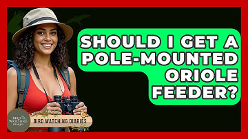 Should I Get A Pole-mounted Oriole Feeder? - Bird Watching Diaries