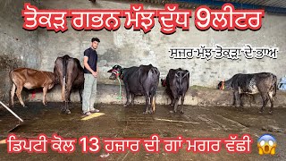 Dupty: 97819 84725/ buffalo for sale/ 23-6-26/ vedio lye:70090-48628/ vadiya farm
