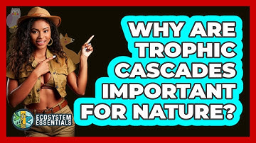 Why Are Trophic Cascades Important For Nature? - Ecosystem Essentials