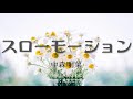 カラオケ スローモーション 中森明菜 オフボーカル メロディ有り Karaoke