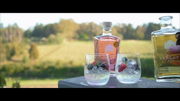 Stockists of Indlovu Gin