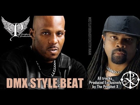 dmx type beat