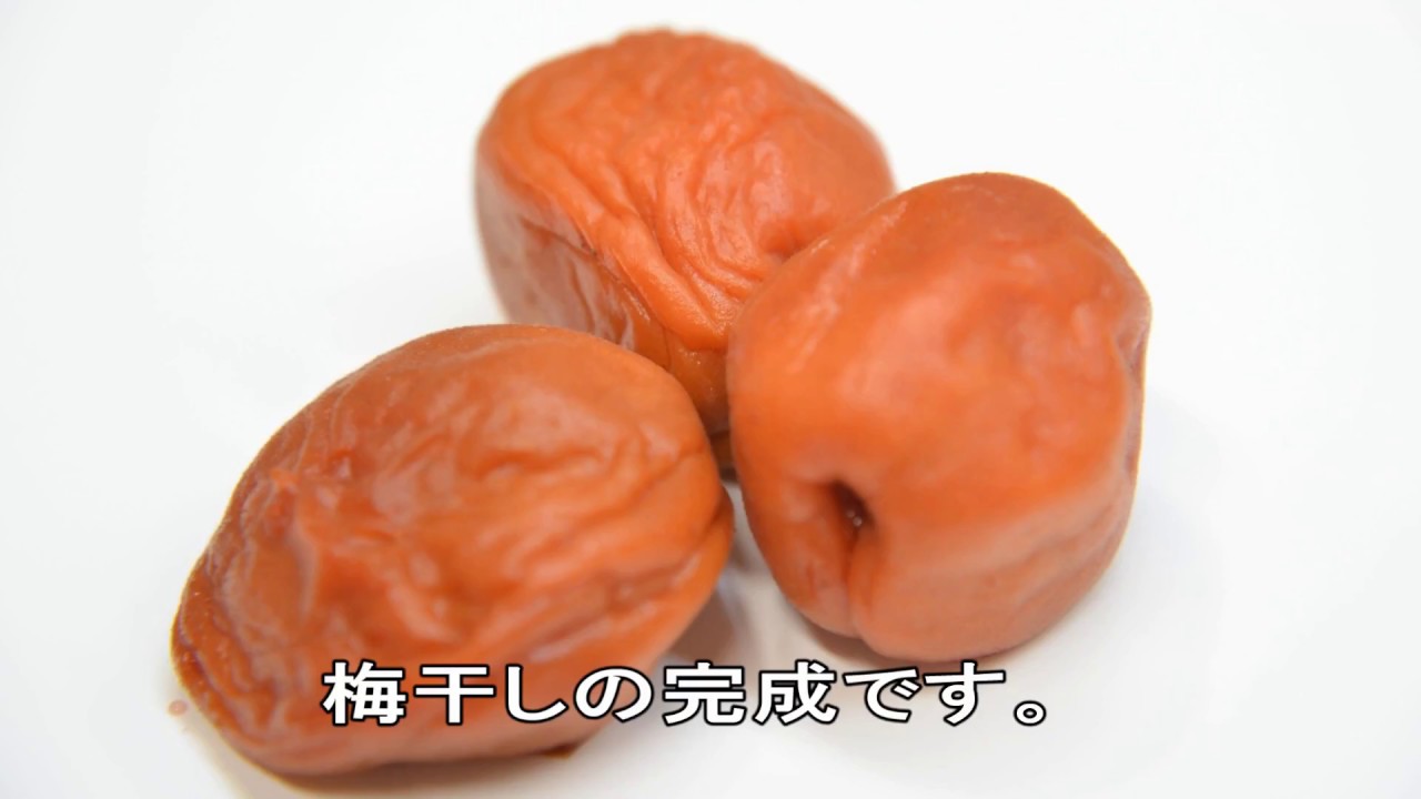 カリカリ梅の作り方 にがり 紫蘇 Youtube カリカリ梅の作り方 にがり 紫蘇 Youtube