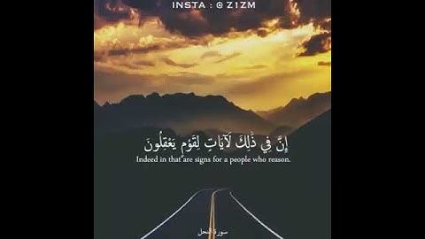 وسخر لكم الليل والنهار والشمس والقمر والنجوم مسخرات بأمره إن في ذلك لآيات لقوم يعقلون