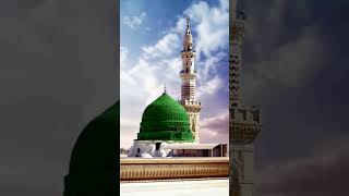 Minimmk Habbysatal, Madina.