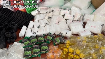 🔥🍎. E THẢO LIÊN TỤC NHẬN MAY TÚI BỌC TRÁI 4 MÙA CHỐNG RUỒI VÀNG 