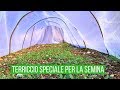 Quale TERRICCIO scegliere? TALEE rosmarino, rose, alloro, menta | Orto e Giardinaggio