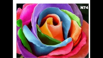 Class III Sindhi M T Lesson 18 Lecture 1