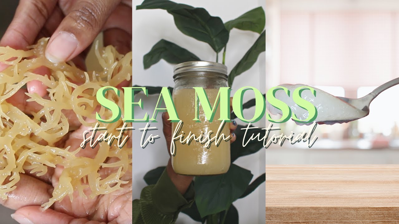 How to make PERFECT Sea Moss Gel Easy start to finish tutorial